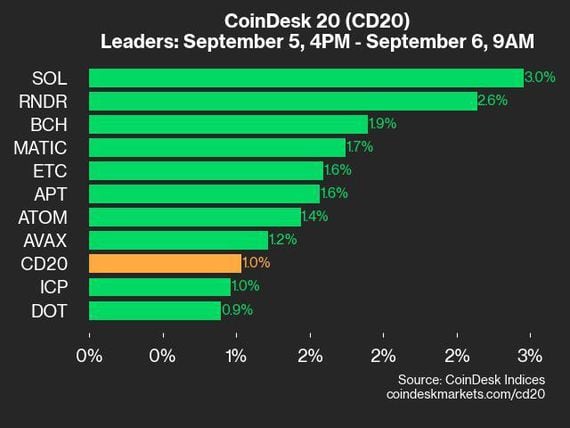 Binance Coin Poll: The Future of Cryptocurrency